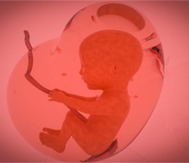 给婴幼儿哈尔滨捐卵宝宝添加辅食应避免“四大罪过”